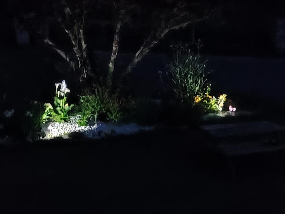 Au Plaisir De L'Ivoie Chambre Double Le May-sur-Èvre エクステリア 写真